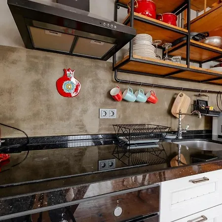 High Ceiling With Large Balcony Apartment